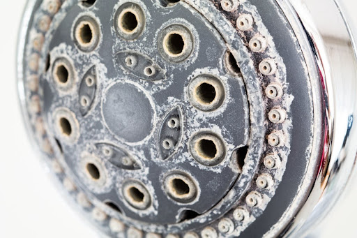 Close-up of a showerhead covered in white mineral buildup, showing signs of limescale and hard water deposits around the nozzles.