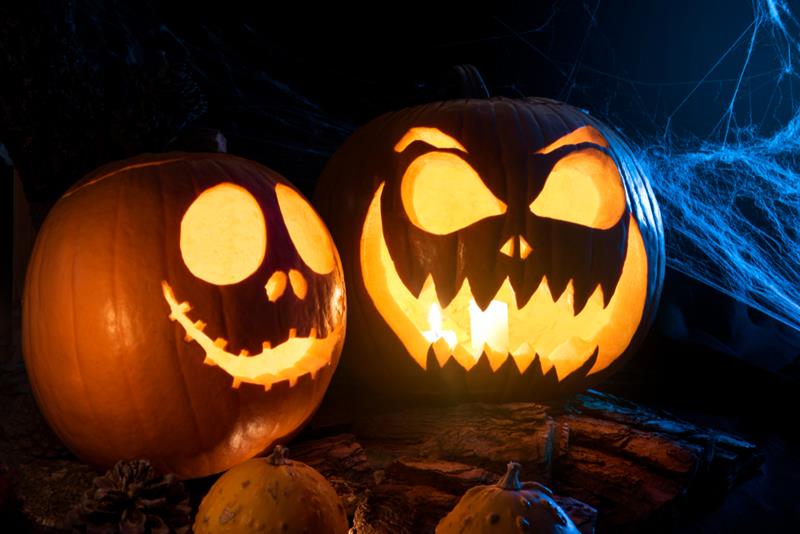 Two carved pumpkins with glowing faces—one friendly, one menacing—sit amid cobweb decorations; this represents the mischevious horror that follows a clogged drain.